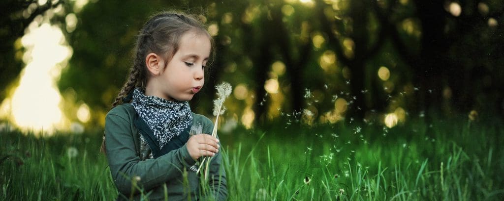 Can a novel knowledge co-production approach advance the ability of community organisations to harness the social sciences in urban biodiversity renewal?