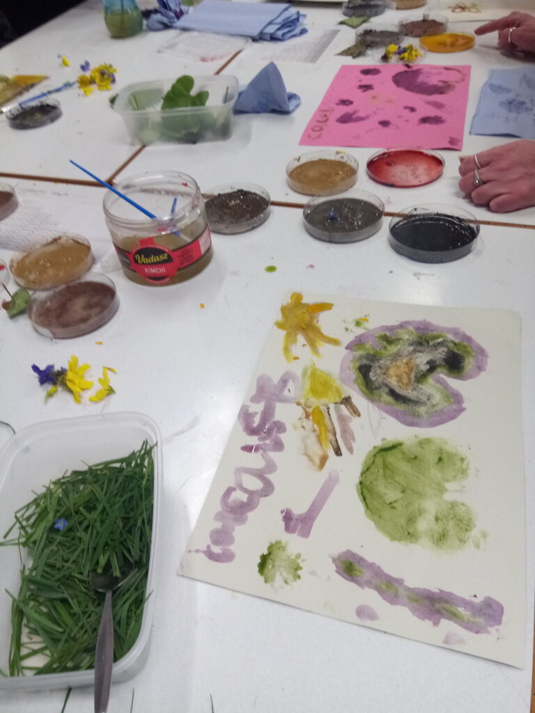 Classroom table with different colour paints and plants