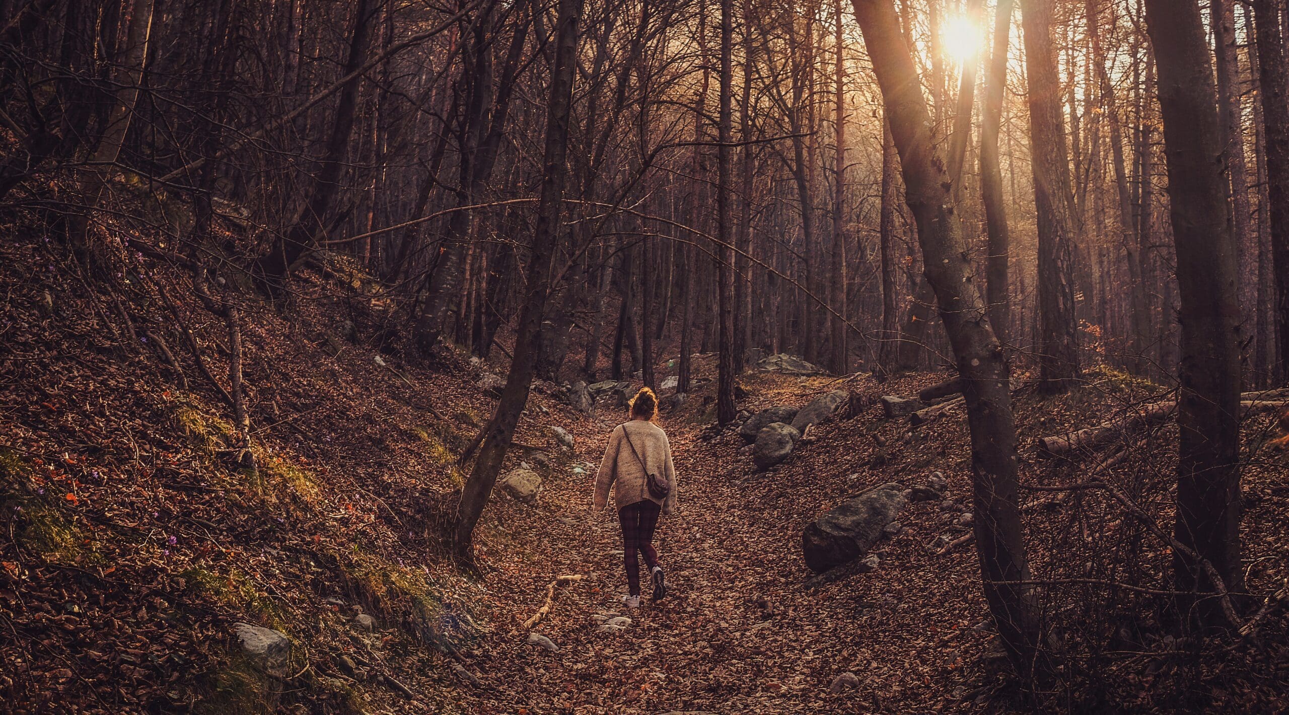 cristina-gottardi-p5JVzahHku0-unsplash Picture of the back of a white woman walking in the woods