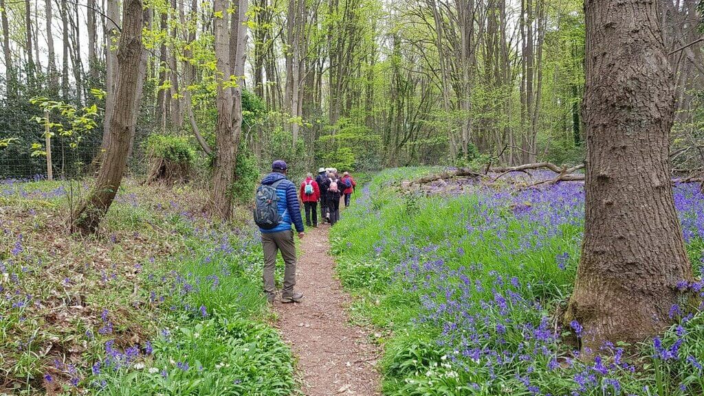 7166670_0ff0f244_1024x1024