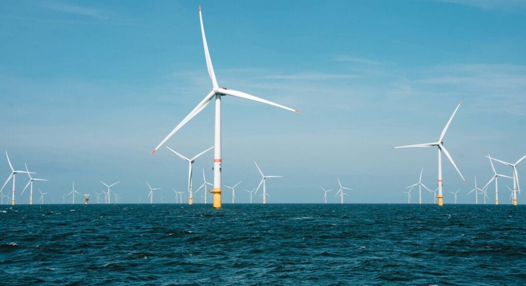 Dr Pamela Buchan leads new Marine Participation Review