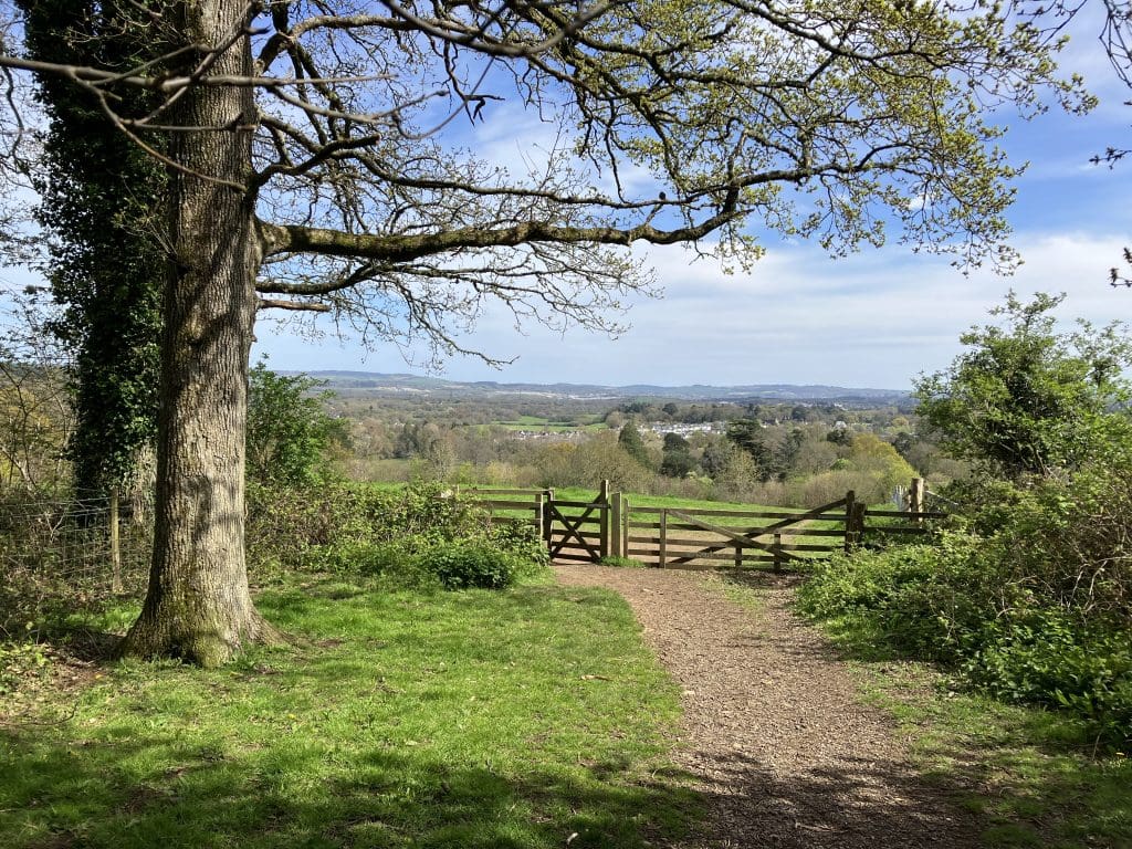 Recorded panel discussion: The contribution of social science to nature recovery